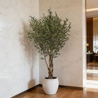 Décoration de hall d'hôtel, olivier artificiel de qualité supérieure de 270 cm avec troncs naturels, décoration paysagère intérieure, olivier artificiel à feuillage persistant