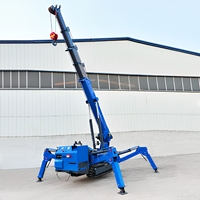 Mini-grue araignée personnalisable à moteur diesel, moteur Weichai, garantie 3 ans, grue hydraulique portable à commande à distance