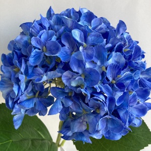 Hortensias de tallo largo coloridas de seda Anti UV de alta calidad, impresión 3D de un solo tallo, <span class=keywords><strong>flores</strong></span> de Hortensia artificiales, de un solo tallo, para uso en 2017 - Product Image 6
