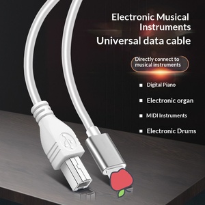 Câble adaptateur OTG universel pour pianos numériques Yamaha, batterie électronique <span class=keywords><strong>Roland</strong></span>, claviers <span class=keywords><strong>MIDI</strong></span>, tablettes - Câble <span class=keywords><strong>MIDI</strong></span> <span class=keywords><strong>USB</strong></span>-A <span class=keywords><strong>USB</strong></span>-C - Product Image 1