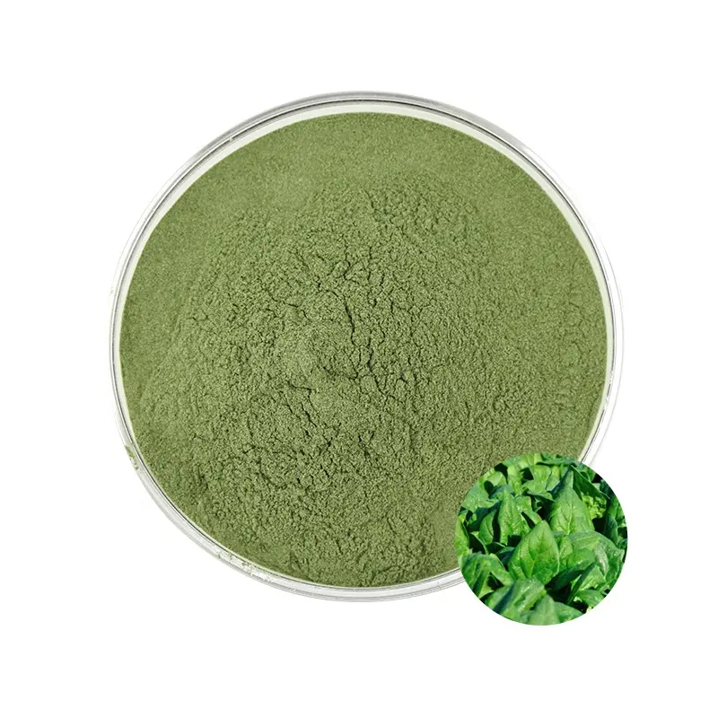 Bulk Freeze Dried Organic Dehydrated Spinach Powder