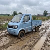 Mini pick-up électrique à 4 roues avec cabine de conduite fermée à 2 portes, batterie au lithium ternaire, autonomie de 101 à 200 km, idéal pour la logistique en zone rurale