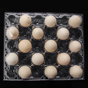 Cheap plastic PVC blister packaging quail chicken egg tray
