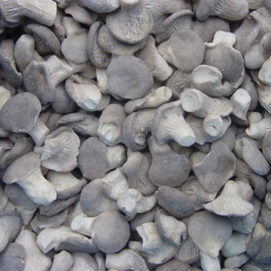 Nấm hữu cơ trồng tự nhiên, tốt cho sức khỏe, tự nhiên, giàu dinh dưỡng, tươi sống, đông lạnh nguyên quả, đông lạnh nhanh <span class=keywords><strong>IQF</strong></span>, nấm bào ngư nhỏ đông lạnh - Product Image 3