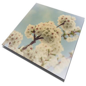 Ludream-Placa de encendido para arroz, Anel luminoso - Product Image 3