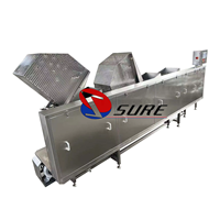 Hoog rendement automatische fruit- en groenteblancherings- en koelmachine, warmwaterblancheringsapparatuur voor voedselverwerkingsfabrieken