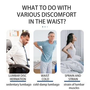 Equipo DE CUIDADO DE LA SALUD OEM ODM Alivio del dolor Pegatina Hierbas naturales Ajenjo Parche de cintura caliente - Product Image 2