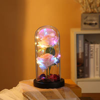 Cadeau de Saint-Valentin Deux Fleurs Éternelles Conservées sous Cloche en Verre avec Lumières LED Rose Éternelle Ornements Cadeau Fête des Mères Décoration Maison
