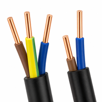 Kabel Daya PVC Standar IEC 300/500V  2*2.5mm2 3*1.5mm2  3*2.5mm2 4*1.5mm2 Kabel Listrik untuk Pasar Afrika