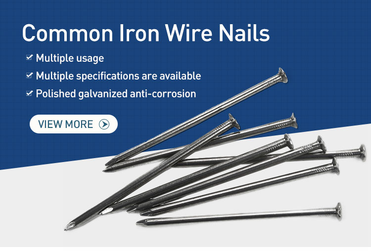 Read More About common nails suppliers