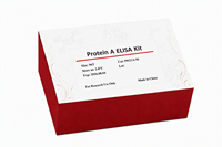 Protein A ELISA-Kit zur Detektion von Protein A in Zwischenprodukten, Halbfertigprodukten und Arzneimitteln