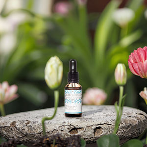 Fabriqué en Espagne, marque Aleceuticals Healthcare S.L, sérum à l'aloe vera 30 ml, huiles essentielles régénérantes et réduisant les rides - Product Image 1