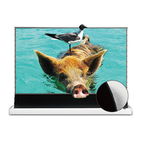 Téléviseur laser VIVIDSTORM 120 pouces, grille noire anti-lumière, écran électrique, projecteur à ultra courte focale, home cinéma, levage automatique