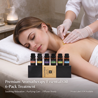 Ensemble d'huiles essentielles d'aromathérapie naturelles pures à marque privée, lot de 6, lavande, arbre à thé, huile de massage pour diffuseur, fabrication OEM personnalisée