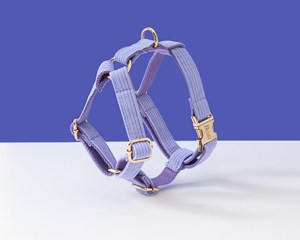 Personalized And Leash Set, Lilac Custom Corduroy Dog Collar Bowtie Poo Bag <b>Holder</b>, No Pull Harness For Boy Puppy - Product Image 3