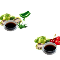 Spécialité locale de Hainan, Noni pur naturel mélangé avec des fruits tropicaux frais variés, jus