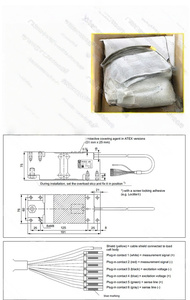 Sensor de Pesaje Veidt para PW12CC3/200kg PW12CC3/250kg, Fabricado por HBM Alemania, Apto para Básculas de Banda con Pantalla Digital y Pesaje Preciso - Product Image 4