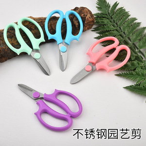 Tijeras de floristería Ht de acero inoxidable con mango de plástico azul, podadora de bypass para cortar tallos de flores, herramienta manual de jardinería - Product Image 3