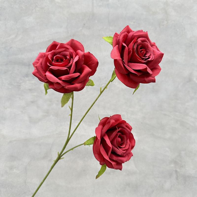 3 roses-Red