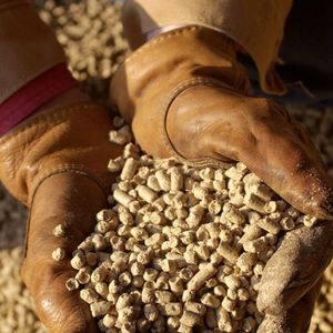 Pellets de Pino de Alta Densidad, Combustible para Estufas de Calefacción con Bajo Contenido de Polvo, Caldera de Biomasa, Pellets de Madera de Combustión Limpia - Product Image 5