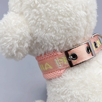 Collier pour chien en polyester tendance avec motif lettres, boucle ardillon détachable, pour promenade estivale