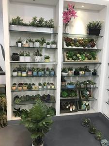 Mini suculentas artificiales <span class=keywords><strong>de</strong></span> plástico, varios tipos, ecológico, personalizado, para decoración interior del hogar - Product Image 6