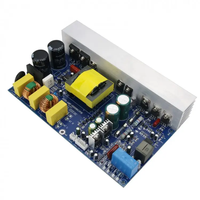 Peak 1000W CLASSE D Amplificateur de puissance numérique mono haute puissance avec alimentation à découpage