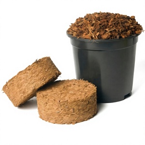 Disques de culture en fibre de coco sans filet de 25 mm du Vietnam pour semis, vente en gros pour pépinières, fabrication OEM - Product Image 2