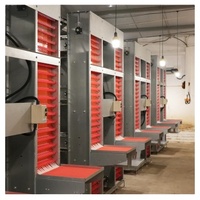 Offre Spéciale : Système d'élevage en batterie de cages à poules pondeuses Bangchi de type H en acier galvanisé à chaud, longue durée de vie, pour la production d'œufs