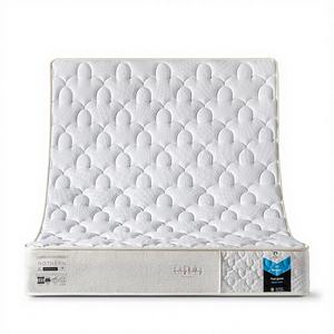 ที่นอนไฮบริดแบบม้วนเก็บได้ รุ่นปรับแต่งได้ ทันสมัย ป้องกันสารก่อภูมิแพ้ สำหรับบ้าน อพาร์ทเมนท์ หอพัก ชุดเฟอร์นิเจอร์ห้องนอน รับประกัน 10 ปี หนา 30 ซม. - Product Image 1