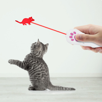 Pointeur laser LED moderne et écologique Evernew pour chats, en matériau ABS, jouet pour animaux de compagnie, fabriqué en Chine