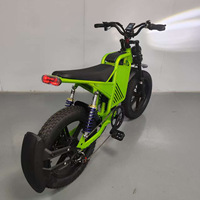 Vélo électrique de style vintage, pneus larges de 20 pouces, 500W, 48V16Ah, autonomie de 40-50 km, frein à disque, tout-terrain, couleur personnalisée