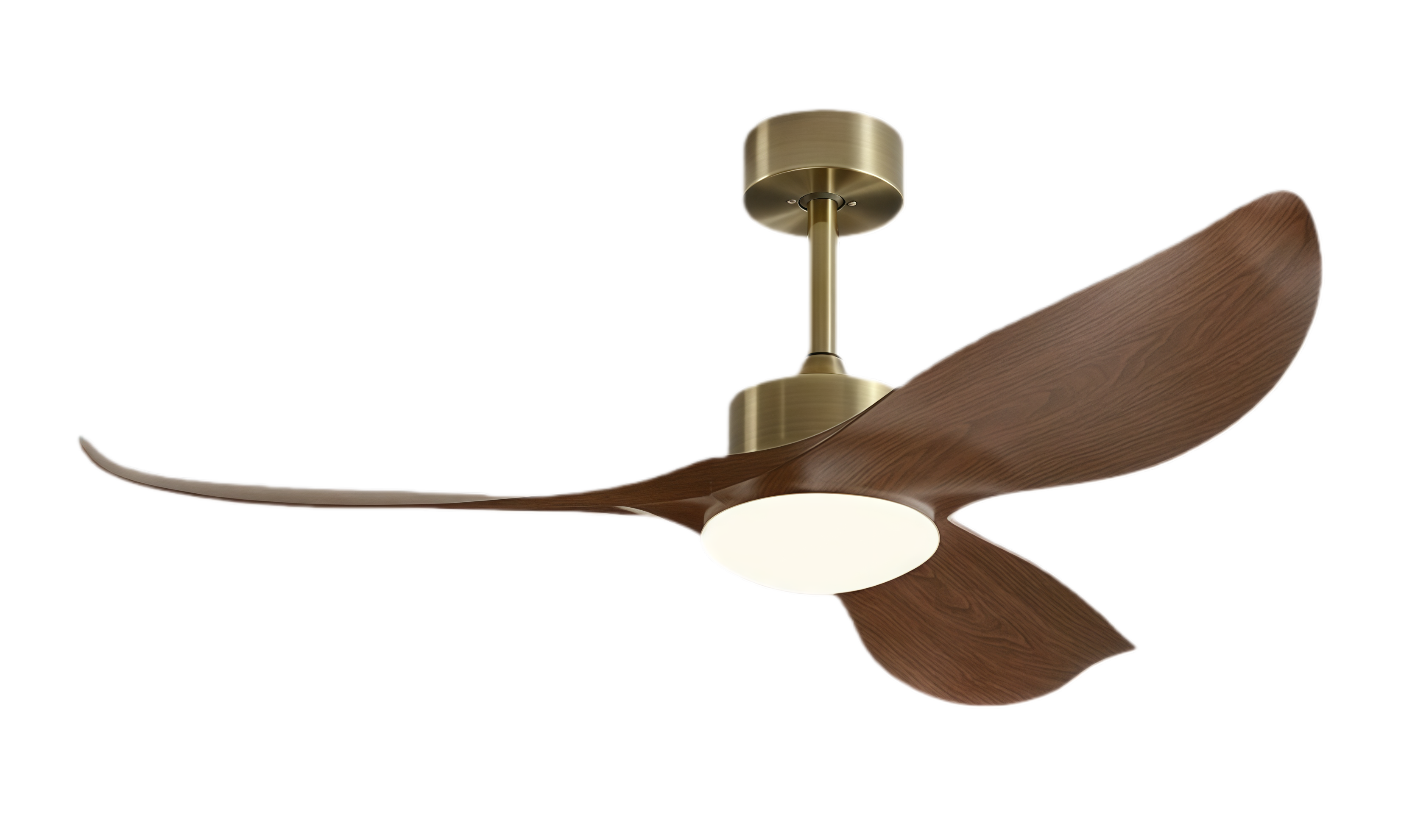 วอลนัทสีบรอนซ์