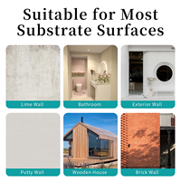 Peinture artistique, couche de finition mate, inodore, anti-taches, résistante au frottement, lavable, imperméable, résistante aux UV, couche de finition protectrice pour les murs