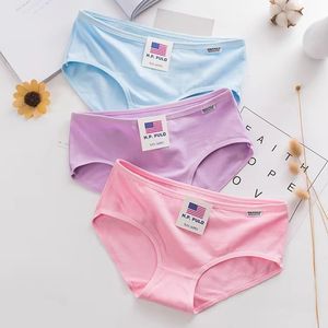 Goedkope prijs op maat gemaakte effen ecologische ondergoed bulkbestelling katoen klassieke damesondergoed vrouwen - Product Image 3