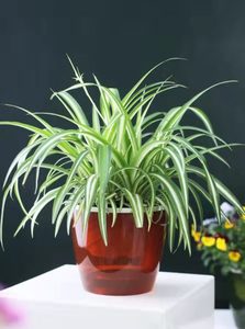 Macetas <span class=keywords><strong>de</strong></span> agua <span class=keywords><strong>de</strong></span> flores inteligentes modernas con indicador <span class=keywords><strong>de</strong></span> nivel <span class=keywords><strong>de</strong></span> agua Hierbas Maceta <span class=keywords><strong>de</strong></span> plástico Soporte <span class=keywords><strong>de</strong></span> planta Maceta <span class=keywords><strong>de</strong></span> riego automático Perezoso - Product Image 4