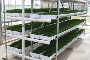 Skyplant Wheatgrass Hydroponics Grow Container Sistema de estantes para forraje de cebada - Product Image 6