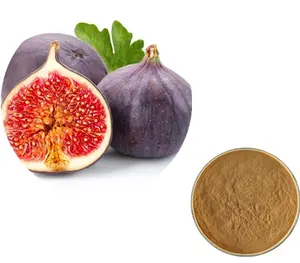 Factory price Fig Fruit Extract Powder Fig fruit extract for health
