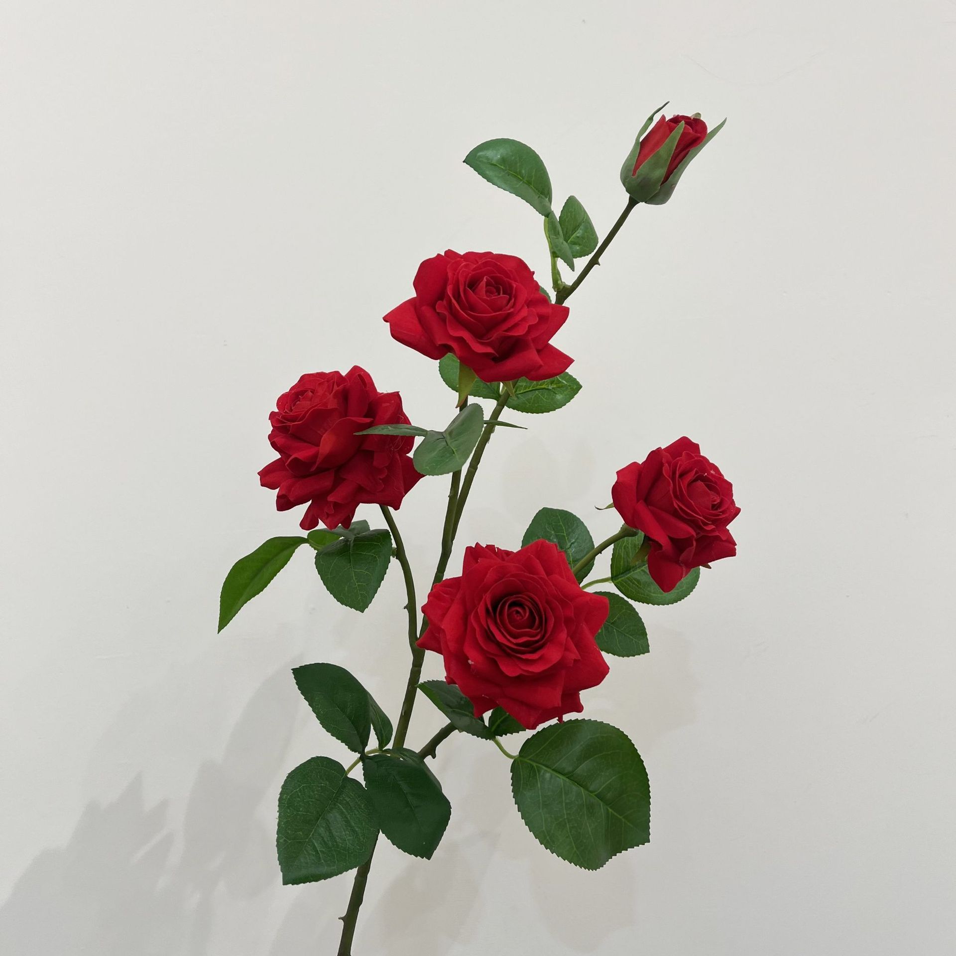 สีแดง