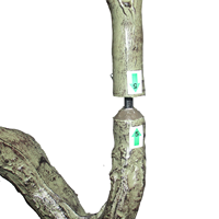 CHUANGFA Arbre Bonsaï Artificiel d'Olivier Écologique de 150 cm pour l'Extérieur et le Bureau, Décoration de Mariage