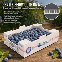 Fabricant de caisses de transport ventilées pour fruits frais et baies, en polypropylène ondulé sur mesure, pour myrtilles peu profondes