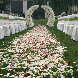 DKB Offre Spéciale nouveau style arc de fleurs de mariage artificielle soie blanche rose rangée de fleurs pour les arrangements de fleurs en arc - Product Image 3