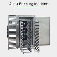 Cryogene snelvriesinstallatie voor vis, fruit & groenten met temperatuurregeling van -80 tot 0°C, koelmiddel R404A+R23
