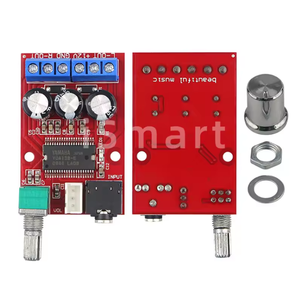 Module d'amplificateur audio numérique de classe D XH-M145 50W-100W 12V-24V CC Mono Amplificateur de puissance pour haut-parleur <span class=keywords><strong>Subwoofer</strong></span> Système audio DIY - Product Image 1