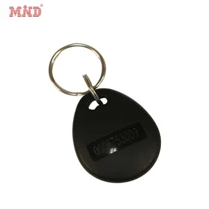 MIFARE DESFire EV2 EV3 4K gantungan kunci kustom Digital RFID kunci Fob