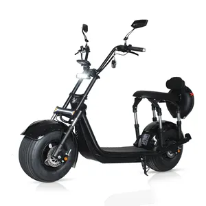 Etats-unis entrepôt puissant mobilité amovible batterie Citycoco adulte électrique 2000W moto Scooter avec support de Golf