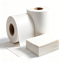 Película de Poliéster Mylar 6630 DMD, Tela No Tejida de Fibra de Poliéster, Papel Aislante Compuesto Flexible para Transformadores de Tipo Seco