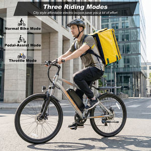 Factory Direct Wholesale VARUN 24" Mountain Ebike 350W Front Suspension 40-50KM Range Daily Rides Youth US 3-7 Working Days - Product Image 6