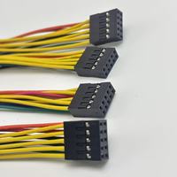 Kabel Elektronik DIY Dupont Custom 5P 2*5 2*10 Housing Dupont Pre-stripped Kabel Jumper Berujung Timah