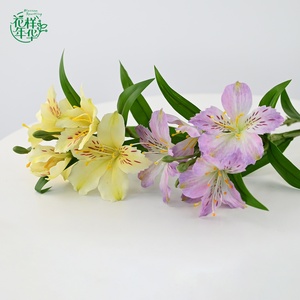 Fleurs artificielles d'<span class=keywords><strong>Alstroemeria</strong></span> de qualité supérieure, 62 cm, pour bouquet de mariée, mariage, décoration de la maison, design floral - Product Image 3